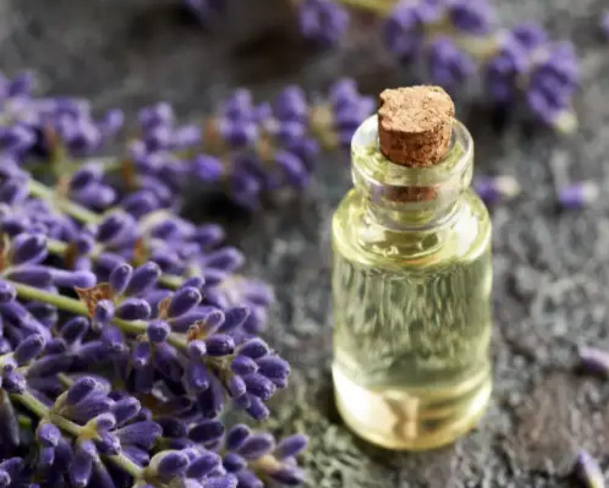 Lavender Essential Oil - 10ml_0